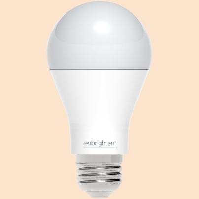 Ogden smart light bulb