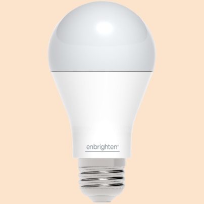 Ogden smart light bulb